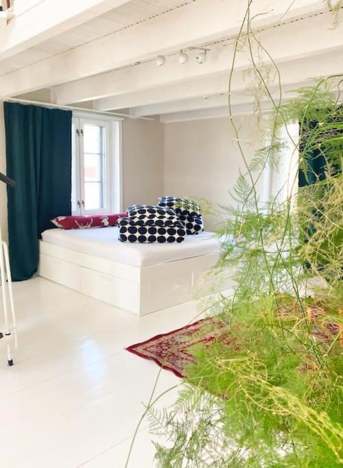 Chalet Pieni Saneerattu Hirsitalo Koskenpartaalla *